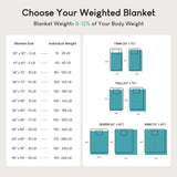 Cottonblue Manta con Peso 6,8 kg Manta con Peso de Sherpa Peluda de Franela tamaño Queen para Adultos Mantas con Peso cómodas para Calmar y Relajar Edredones Pesados 152,4 x 203,2 Naty Shop Quilts & Quilts