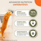 IAMS Delights Land Collection Comida húmeda para gatos sin cereales - Paquete variado de carne Paquete múltiple Comida húmeda sin cereales para gatos de 1 año y más 12 x 85 g