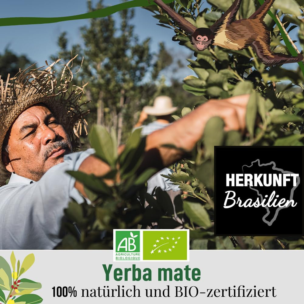 ORIGEENS BIO YERBA MATE CON LIMÓN Y JENGIBRE 200 G - El té energizante I Té de Yerba Mate Orgánica, sin tostar, hojas, sin tallos ni polvo