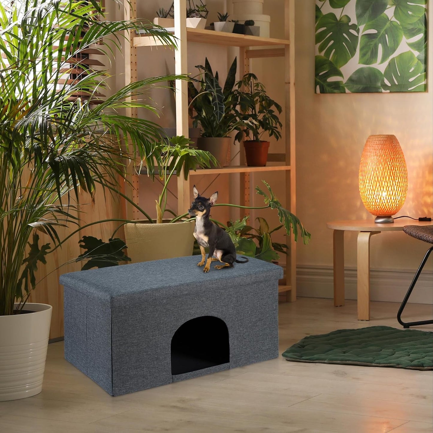 Mantas y Muebles, Mascotas, Casas y Cuevas, Gatos, Camas para gatos, Gatos - camas, colchones