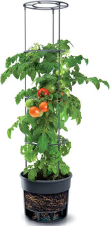 Macetas para plántulas de tomate Prosperplast con enrejado - Jardinera de plástico resistente | Antracita | Resistente a la intemperie y a los rayos UV | 29,5 x 115,2 cm | Ideal para el jardín y la terraza.