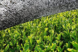 BIO Matcha en polvo 100 g I Sin aditivos - 100% natural I Té Matcha japonés premium I Té verde en polvo de