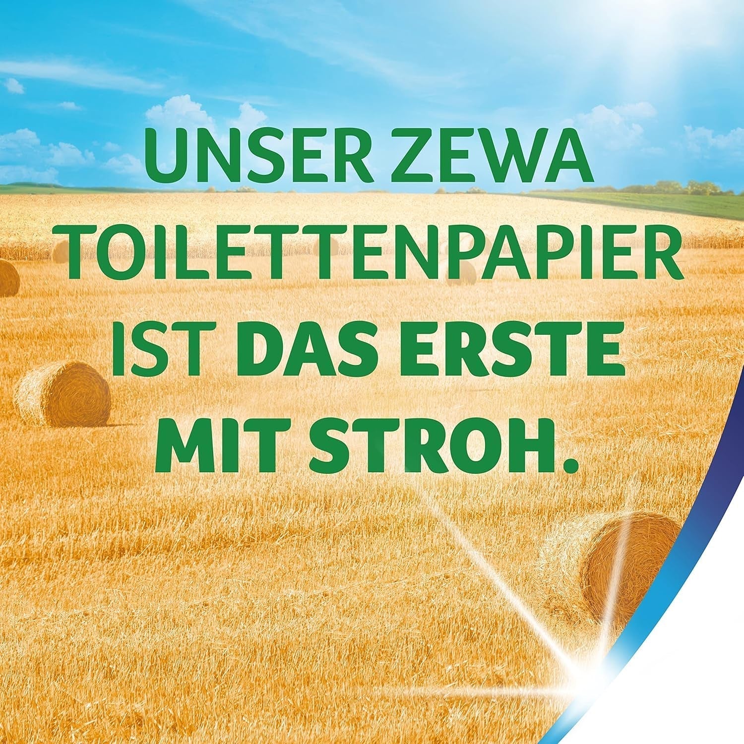Zewa Proven - 48 rollos - El primer papel higiénico con contenido de paja - 3 capas