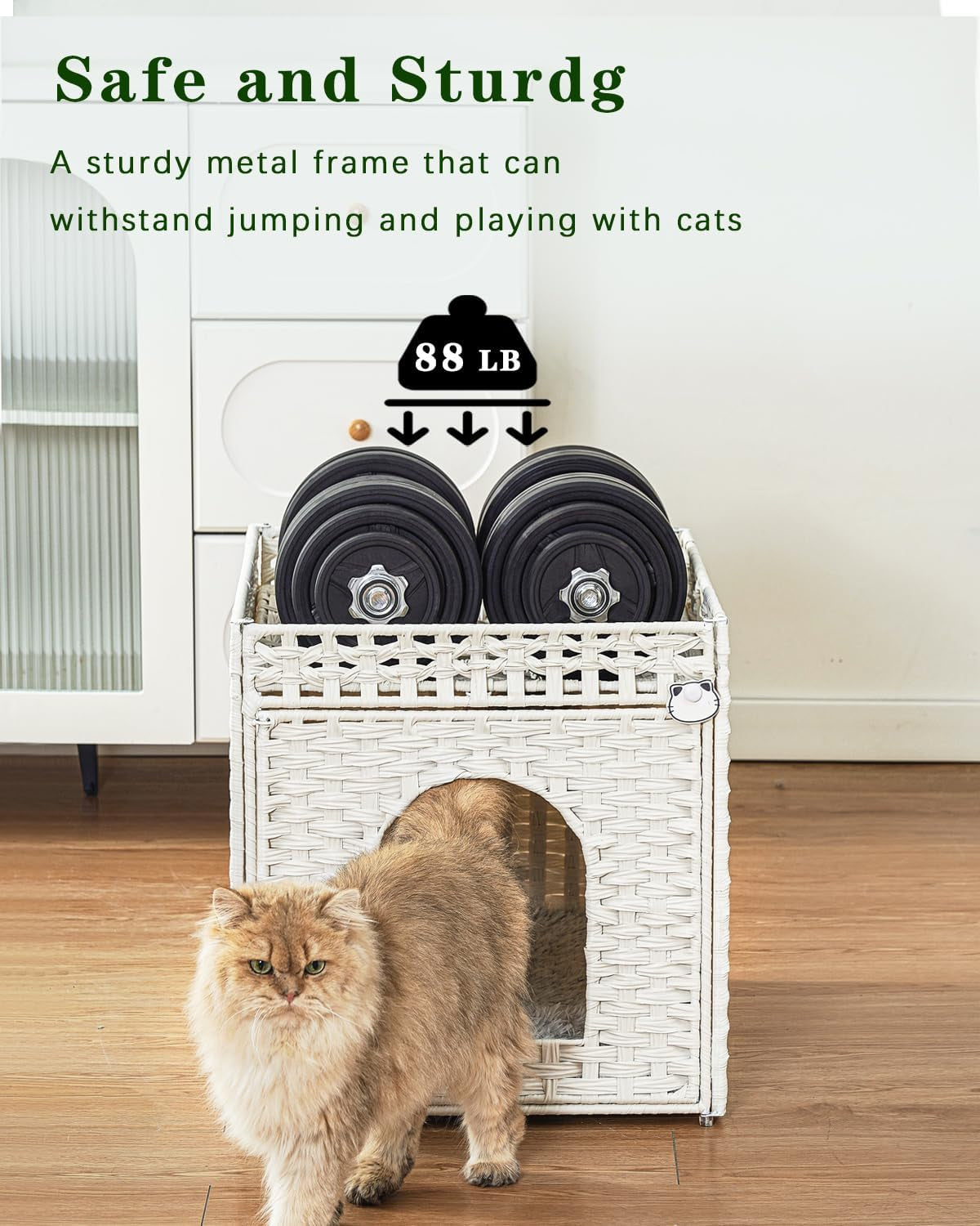 Mantas y Muebles, Mascotas, Casas y Cuevas, Gatos, Camas para gatos, Gatos - camas, colchones