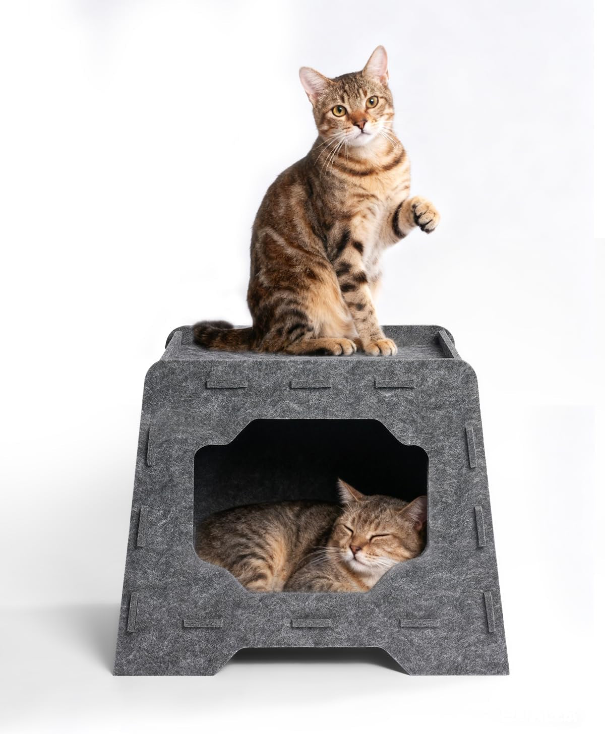 Mantas y Muebles, Mascotas, Casas y Cuevas, Gatos, Camas para gatos, Gatos - camas, colchones