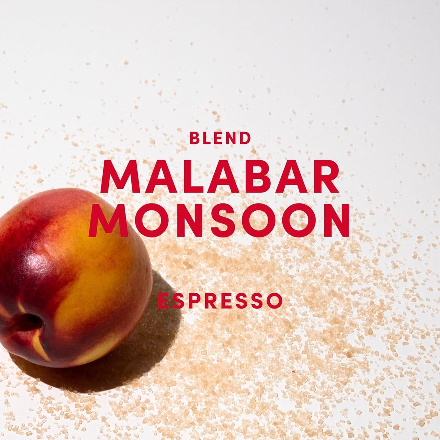 Malabar Monsoon Espresso Blend - 100% Arábica de la India, Brasil y Guatemala - säurearm & ausgefungen mit Nektarine, Honig & Haselnuss - ganze Bohnen, tostado medio oscuro - 1kg