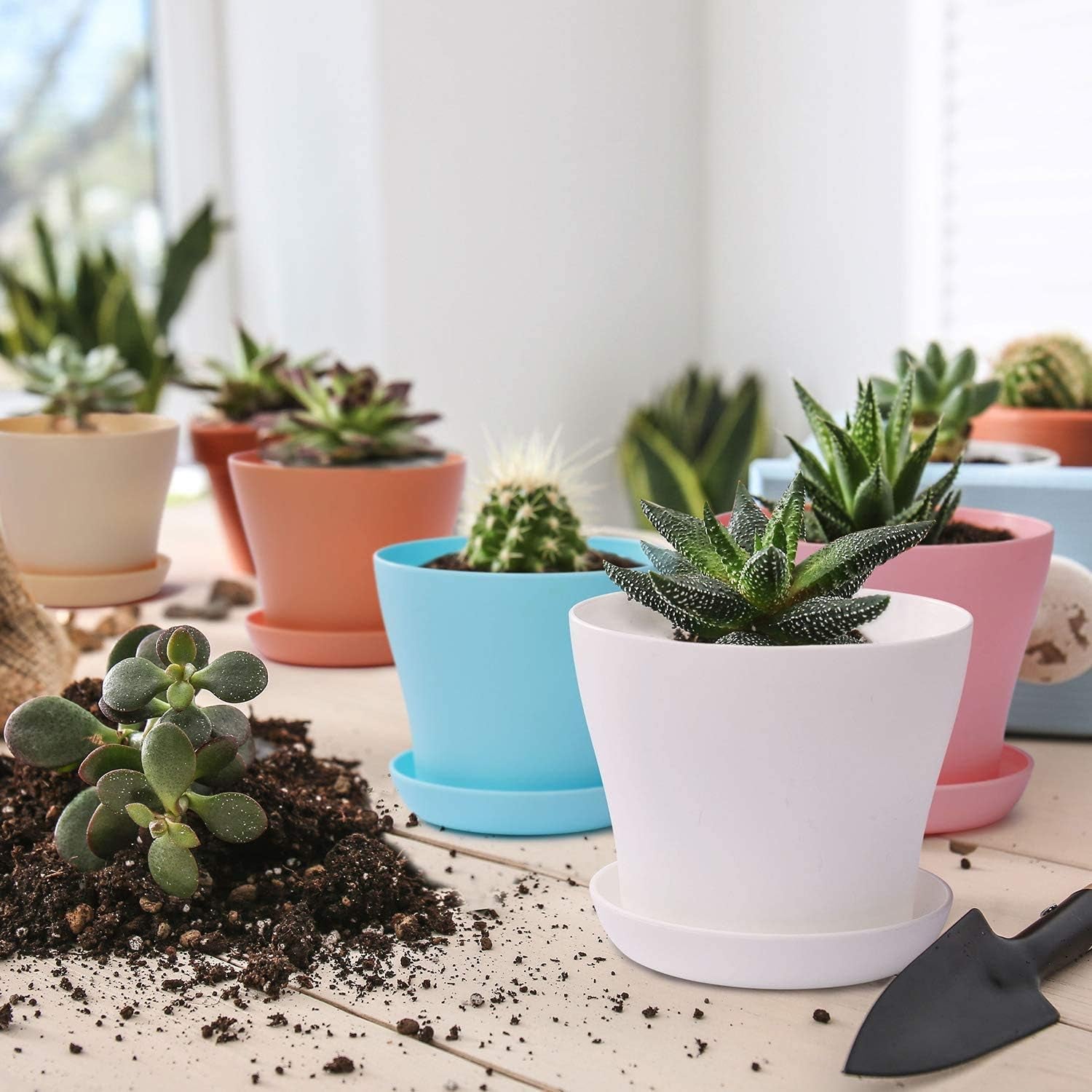Macetas Grandes de Plástico de 20 Cm con Platillos, Macetas Blancas con Riego Automático con Platillos, Macetas de Plántulas de Plástico, Macetas Engrosadas para Plantar en Interiores y Exteriores (6 Piezas)