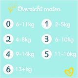 Pampers Premium Protection Talla 6, 74 pañales, 13 kg+, n.º 1 en comodidad y protección para pieles sensibles