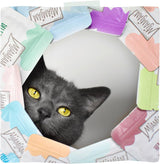 MjAMjAM - Comida húmeda premium para gatos - Bolsa exprimible - DUO con ternera refinada y arenque, paquete de 12 (12 x 125 g), sin cereales