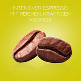 Flat White, 48 Kaffeekapseln y Cappuccino, 48 Kaffeekapseln