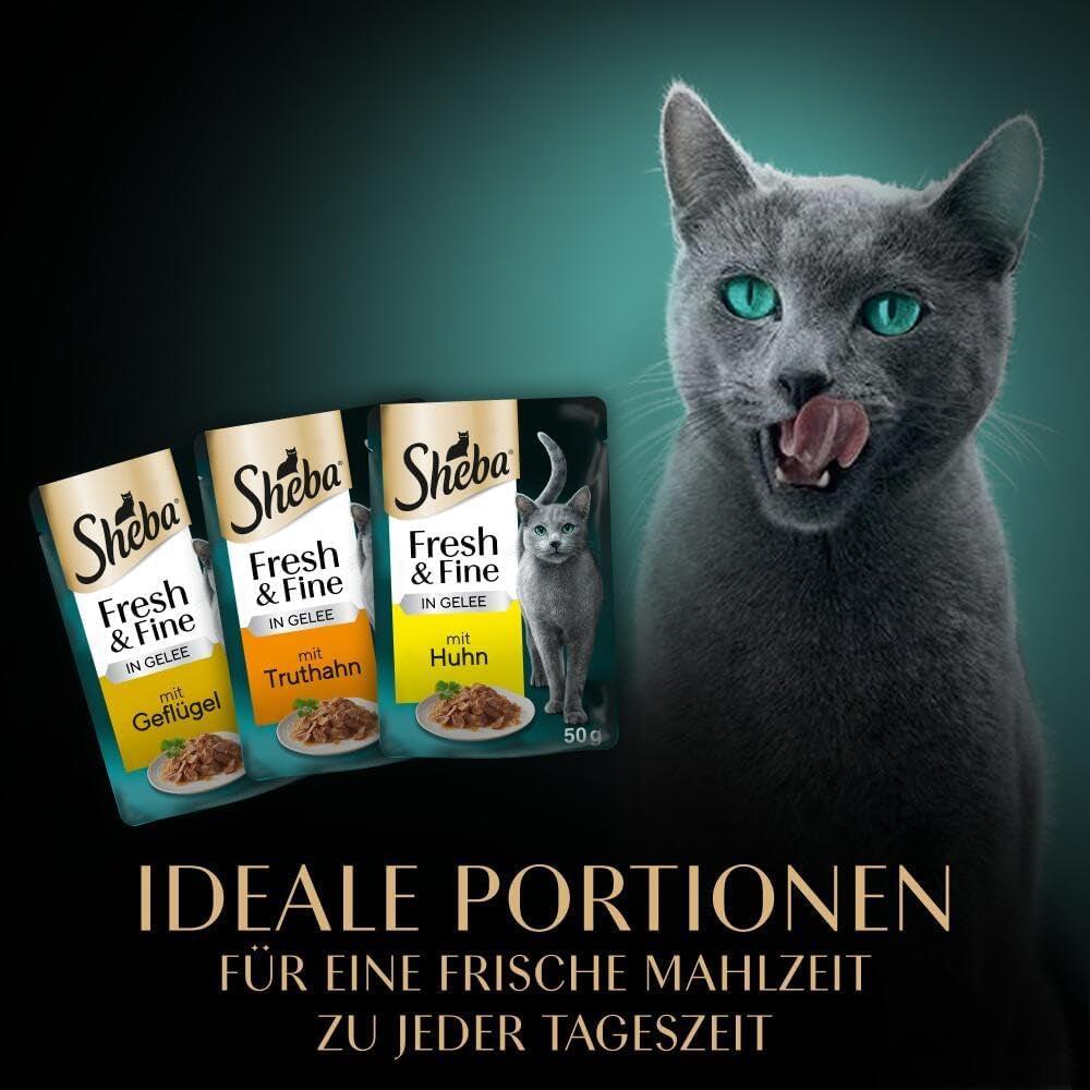 Sheba Portion Bags Comida húmeda para gatos, paquete múltiple de gelatina fresca y fina de pavo y pollo, 6x6x50 g - Comida para gatos con gelatina de pavo y pollo de alta calidad