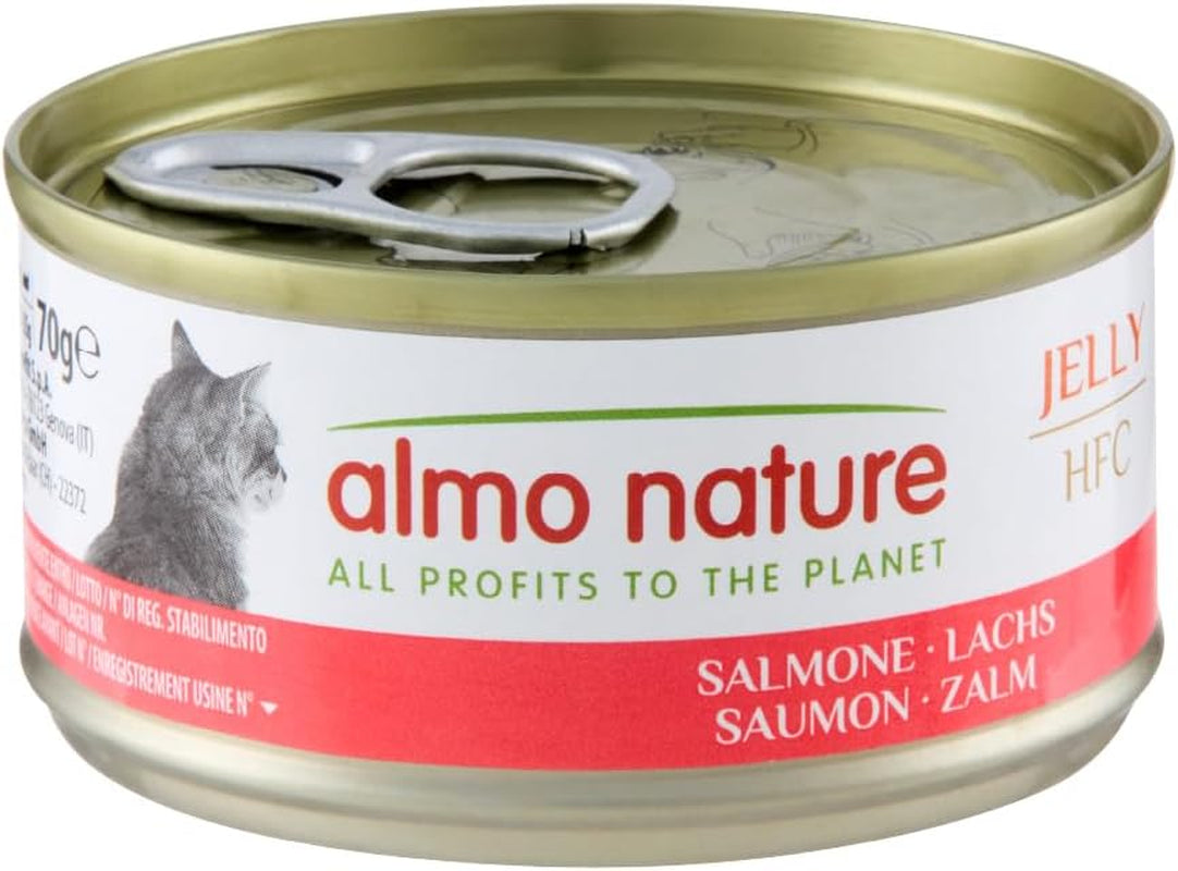 Almo Nature HFC Jelly - Nassfutter für ausgewachsene Katzen - Lachs - Grado humano, sin gluten y monoproteína - 6 x 70 g