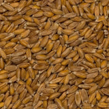 Wholefood Earth Granos de Espelta Orgánicos – 3 kg | Sin OGM | Vegano | Rico en fibra | Certificado orgánico