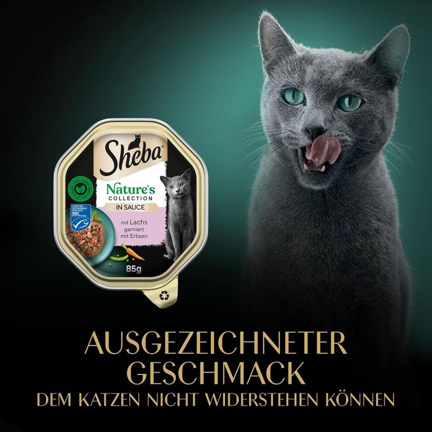 SHEBA Comida Húmeda para Gatos, Colección Nature's en Salsa de Salmón, 2 x 11 x 85 g