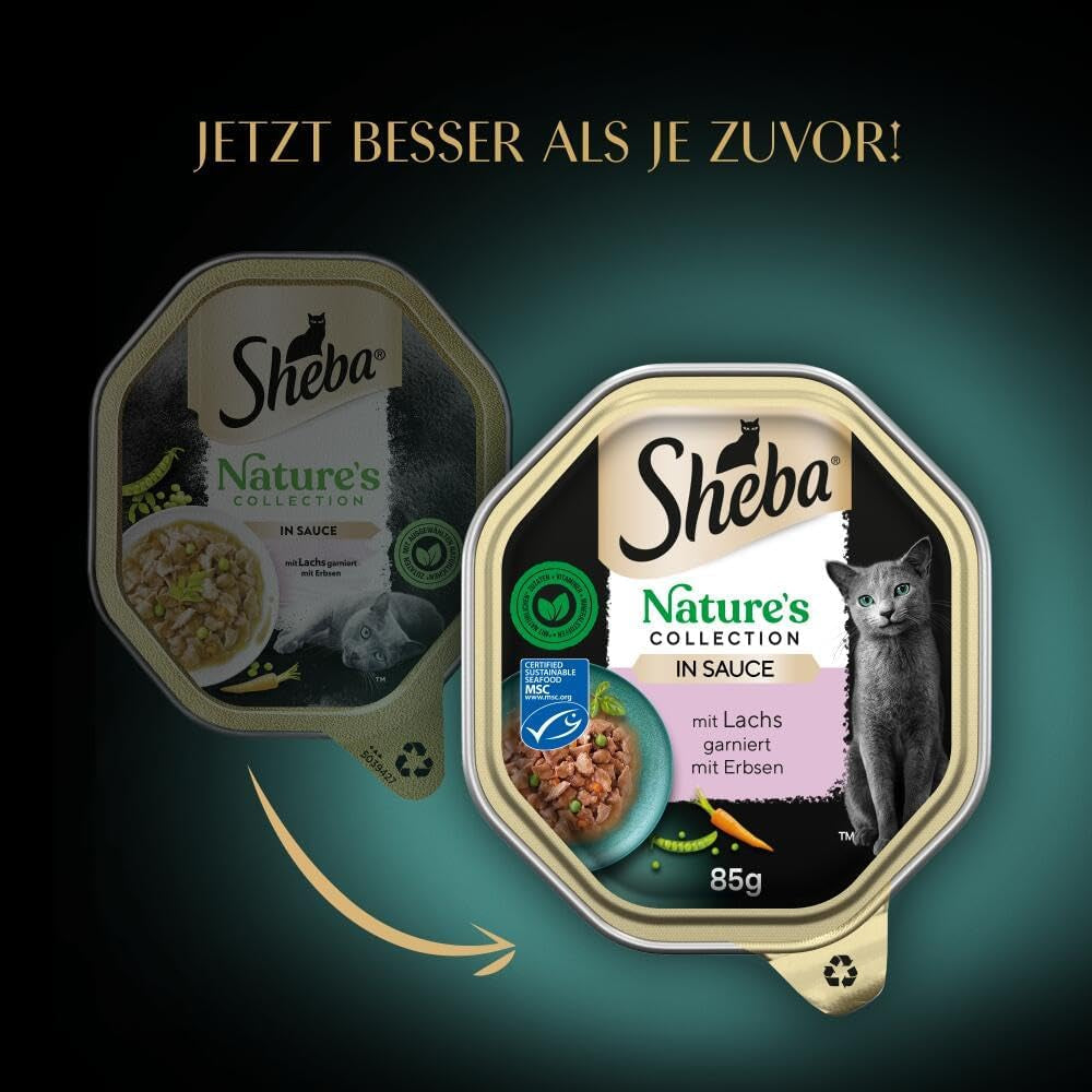 SHEBA Comida Húmeda para Gatos, Colección Nature's en Salsa de Salmón, 2 x 11 x 85 g