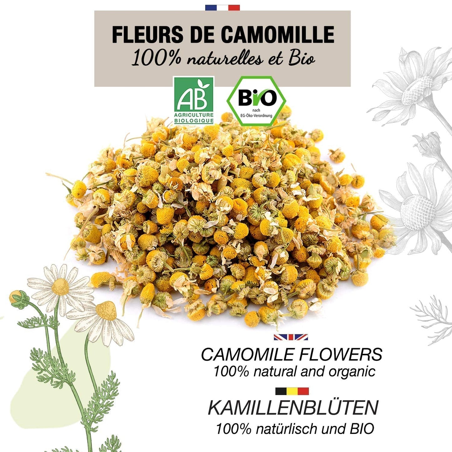 ORIGEENS Té de Flores de Manzanilla Bio de Europa, 100 g | Té de hojas sueltas, té orgánico para el sueño y la digestión | Manzanilla alemana | Certificado y empaquetado en Alemania.