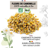 ORIGEENS Té de Flores de Manzanilla Bio de Europa, 100 g | Té de hojas sueltas, té orgánico para el sueño y la digestión | Manzanilla alemana | Certificado y empaquetado en Alemania.