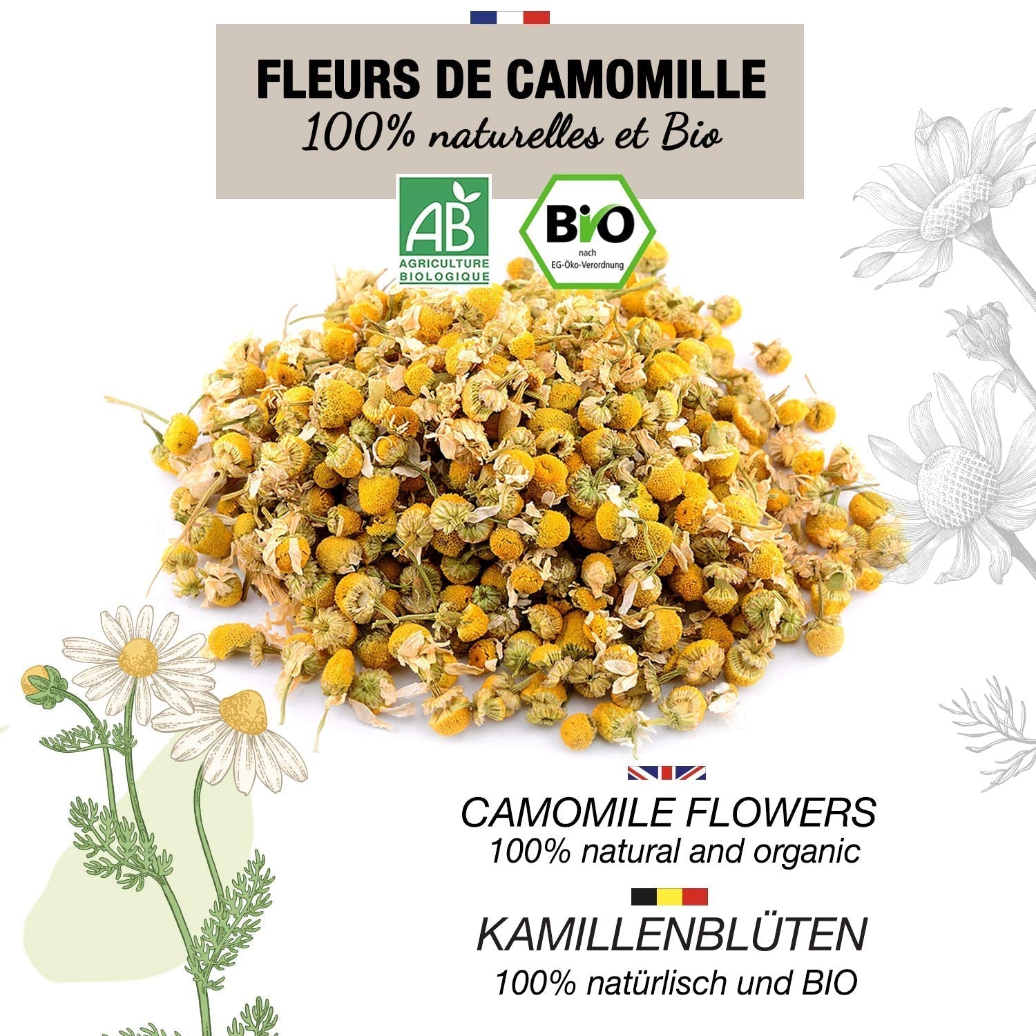 ORIGEENS Té de Flores de Manzanilla Bio de Europa, 100 g | Té de hojas sueltas, té orgánico para el sueño y la digestión | Manzanilla alemana | Certificado y empaquetado en Alemania.