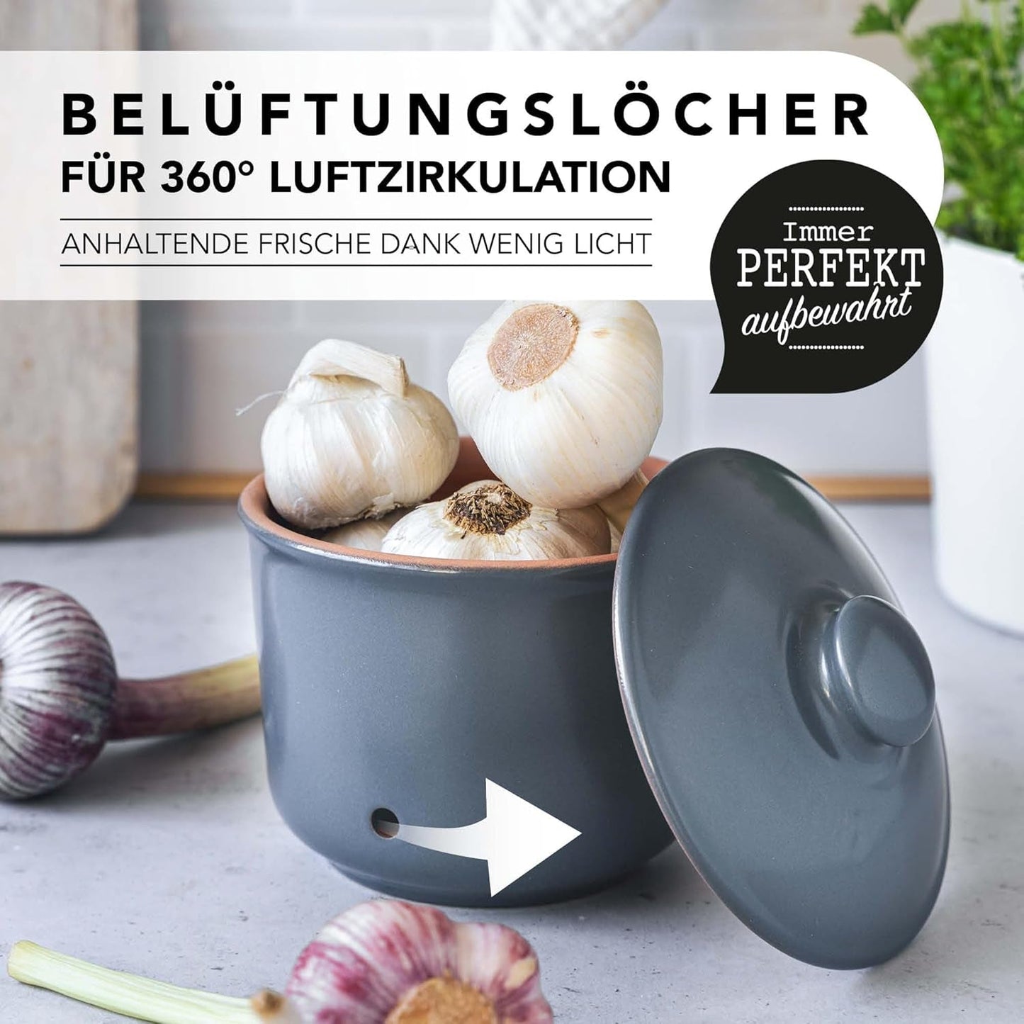 Olla para ajos Römertopf Olla fresca hecha de arcilla natural para una larga vida útil de alimentos como el ajo Ø 12,5 cm blanco Cajas de almacenamiento de alimentos Naty Shop