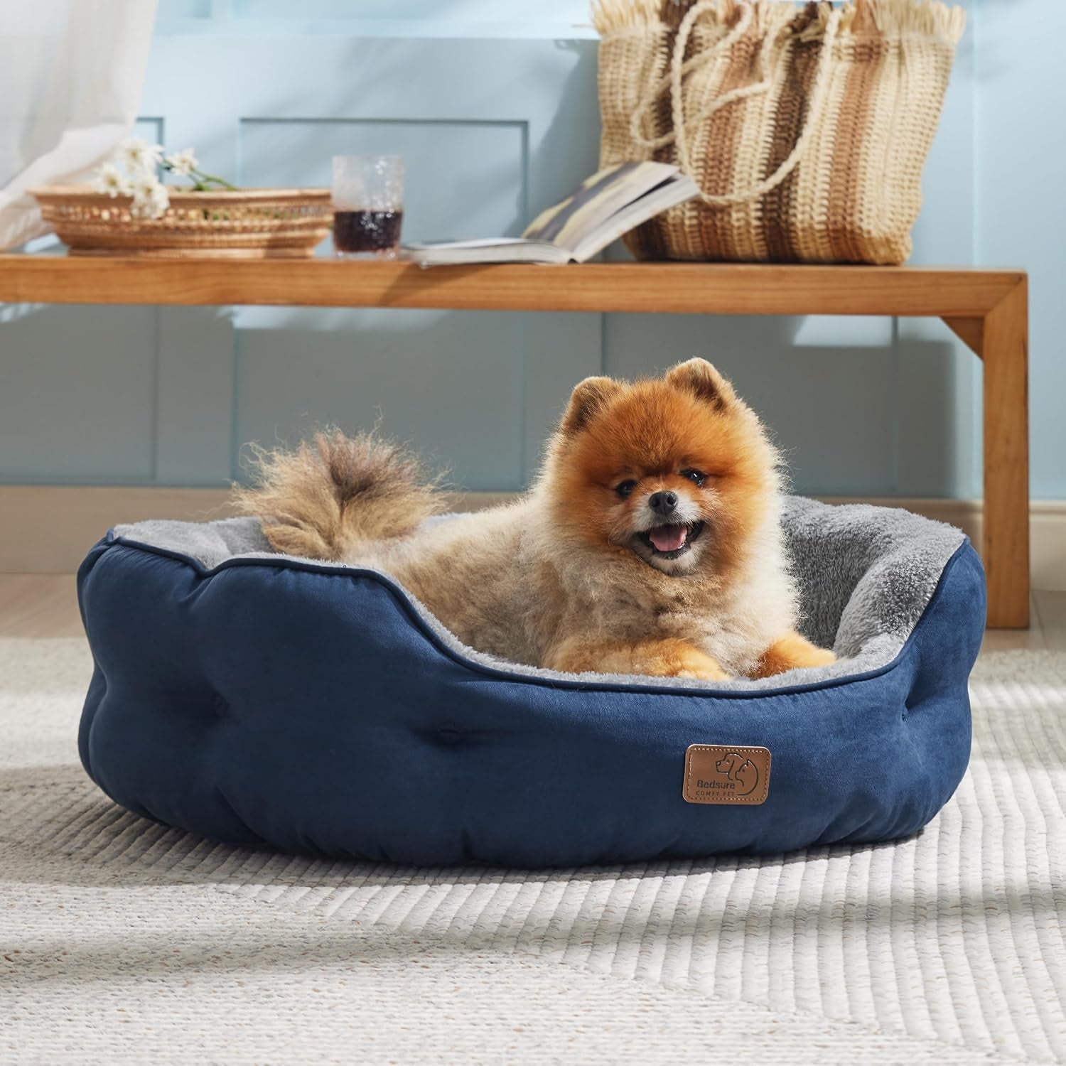 Camas, mantas y muebles, mascotas, gatos, camas para gatos, Gatos - camas, colchones