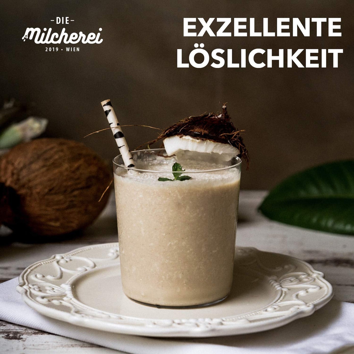 Kokos-Nuss-Milch-Pulver MILCHEREI Batido De Coco Curry Thai 800g