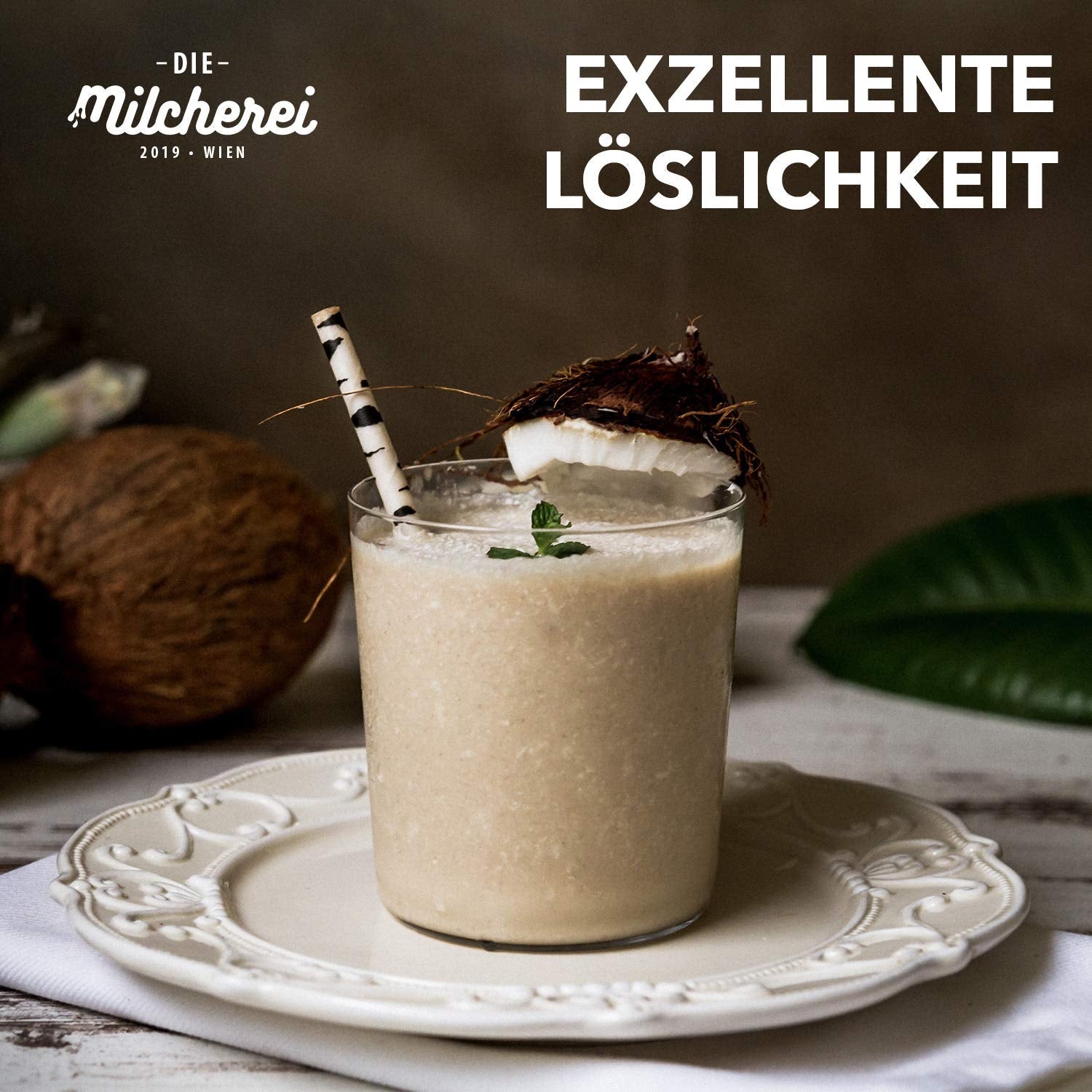Kokos-Nuss-Milch-Pulver MILCHEREI Batido De Coco Curry Thai 800g