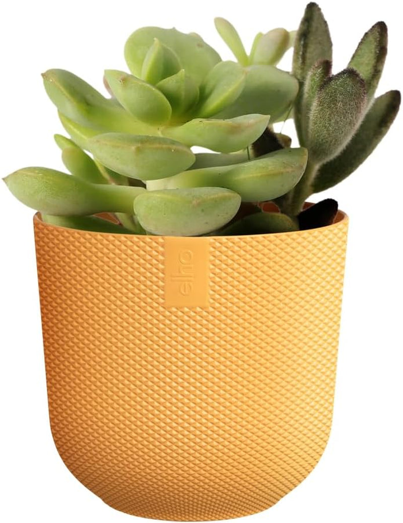 elho Jazz Round Mini 7cm - Macetas de interior - 100% plástico reciclado - Ø 7 x H 6,5 cm - Amarillo/Ámbar