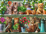 Ravensburger Puzzle 12000205 - Katzen Im Regal - Puzzle de 500 piezas para adultos y niños mayores de 10 años, Puzzle de animales gato Puzzle Naty Shop Nuevo diseño