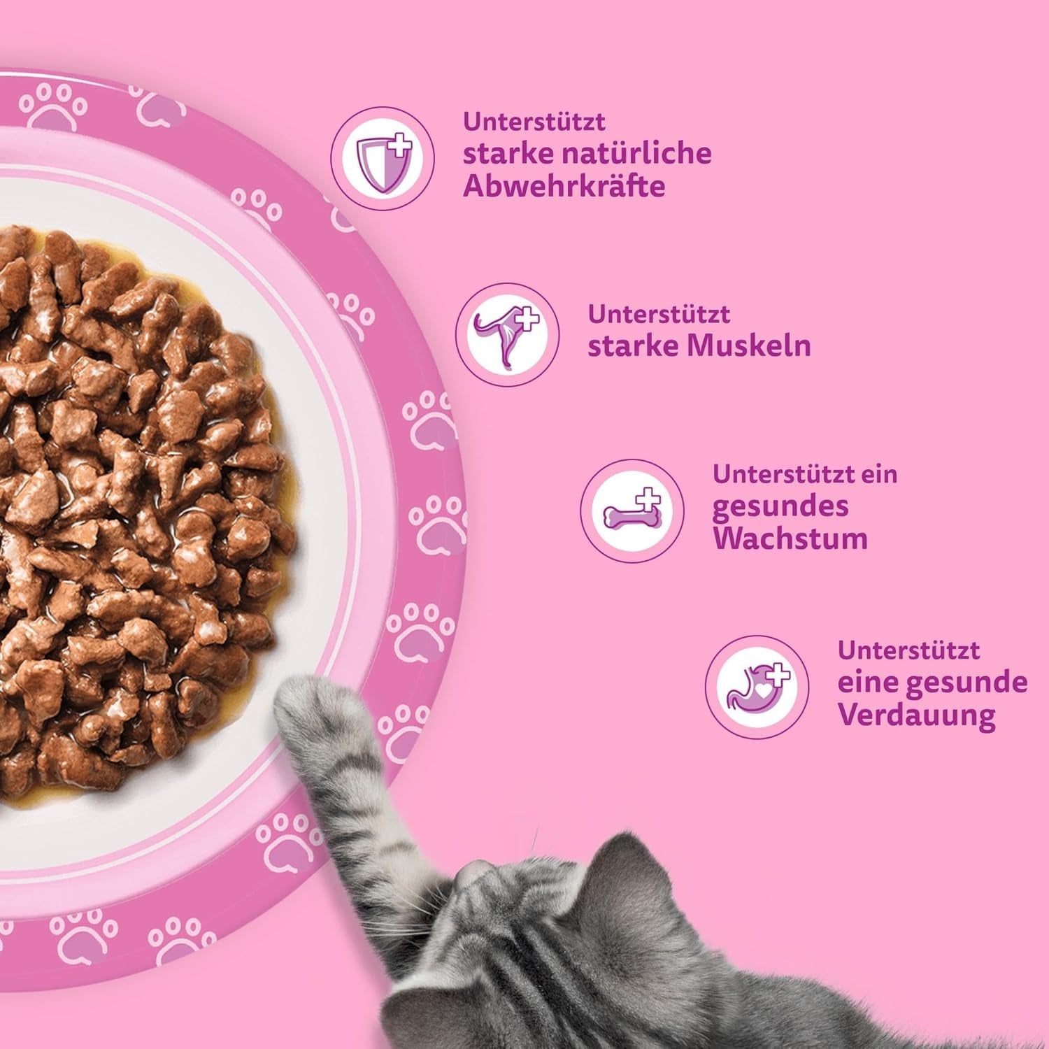 Whiskas Junior Classic Selection Comida húmeda para gatos en salsa, 48 sobres, 12 x 85 g (paquete de 4) - Comida húmeda de alta calidad para gatos en crecimiento, de 2 a 12 meses