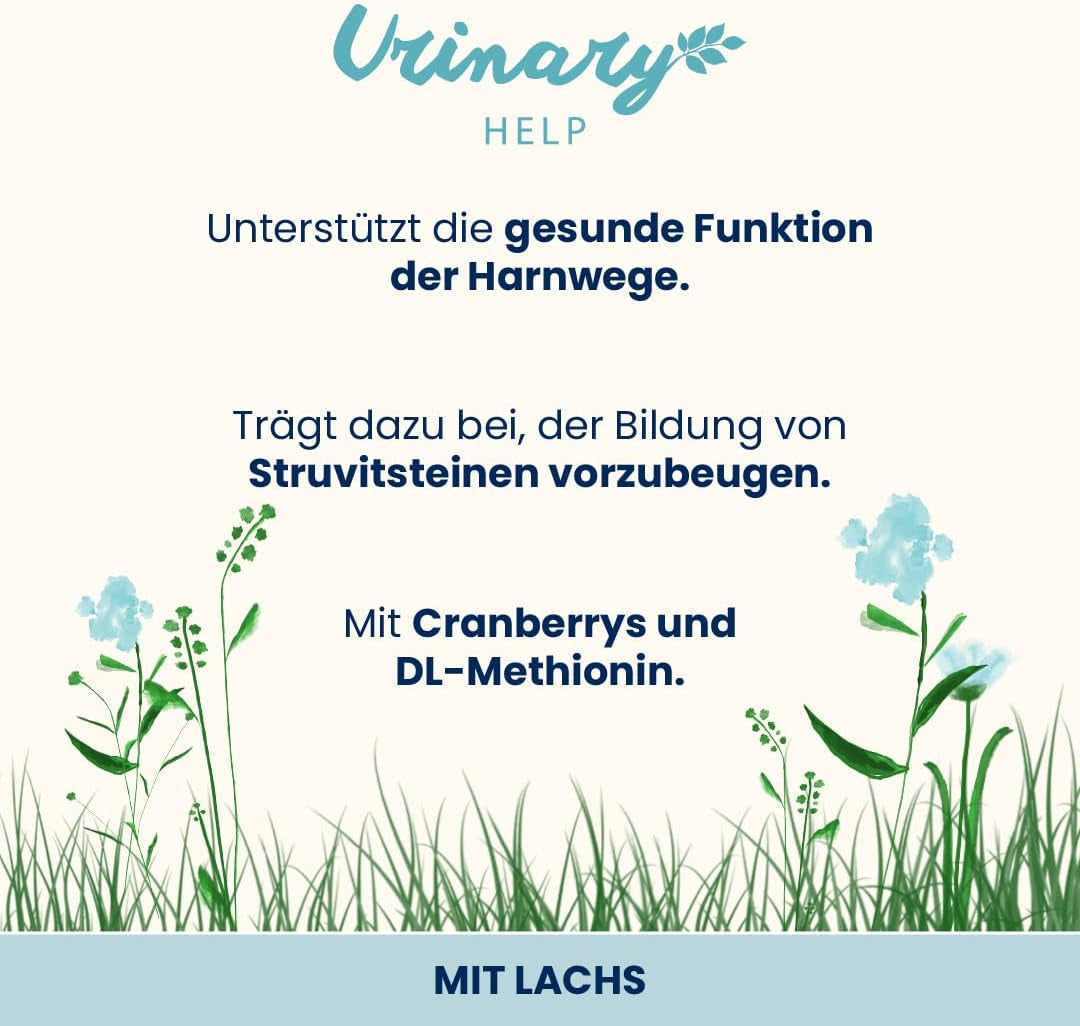 almo Nature Functional Urinary Help - Comida húmeda para gatos adultos con salmón - Favorece la salud del tracto urinario - 30 sobres de 70 g cada uno