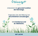 almo Nature Functional Urinary Help - Comida húmeda para gatos adultos con salmón - Favorece la salud del tracto urinario - 30 sobres de 70 g cada uno