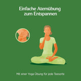 Yogi Tea - Tulsi Serenity Té ayurvédico de hierbas orgánico Mezcla de tulsi sin cafeína "Holy" Albahaca Regaliz y naranja Yogi Tea 3 paquetes 3X17 bolsitas de té (51 bolsitas de té)