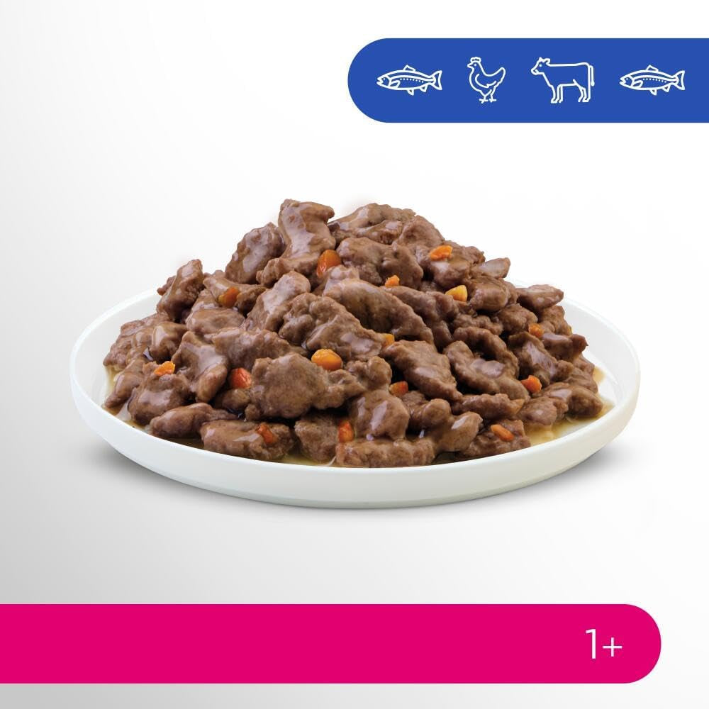 Perfect Fit Adult 1+ selección de comida húmeda con salmón, pescado de aguas profundas, ternera y pollo, 48 sobres, 12x85g (paquete de 4) - Comida húmeda premium para gatos adultos a partir de 1 año