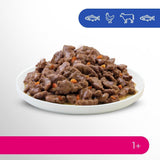 Perfect Fit Adult 1+ selección de comida húmeda con salmón, pescado de aguas profundas, ternera y pollo, 48 sobres, 12x85g (paquete de 4) - Comida húmeda premium para gatos adultos a partir de 1 año