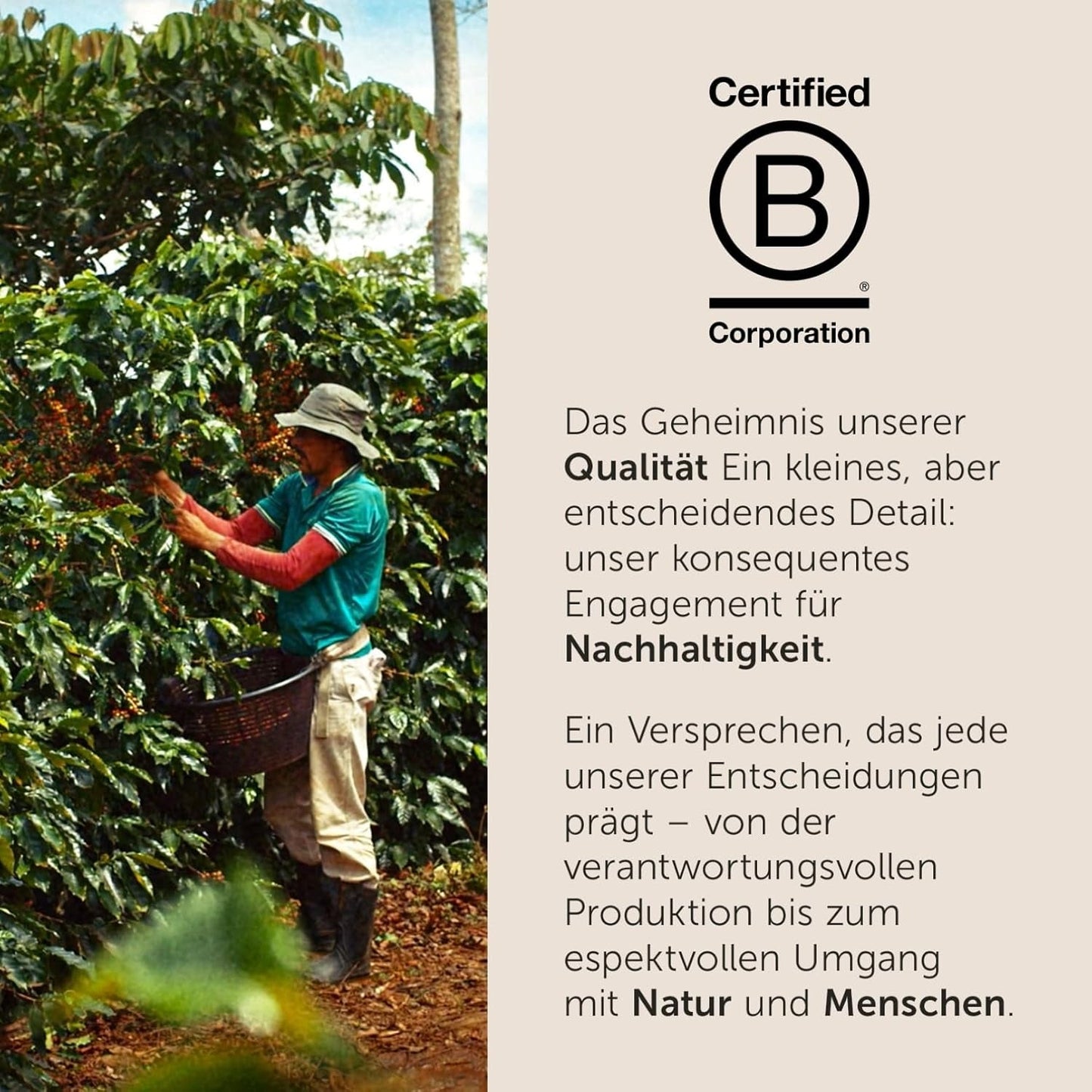 illy, Kaffeebohnen Arábica Selección Costa Rica, 100% Arábica con Caramelo, Schokoladen- und Vanillenoten, süßer Gesmack, 1 dosis con 250 g