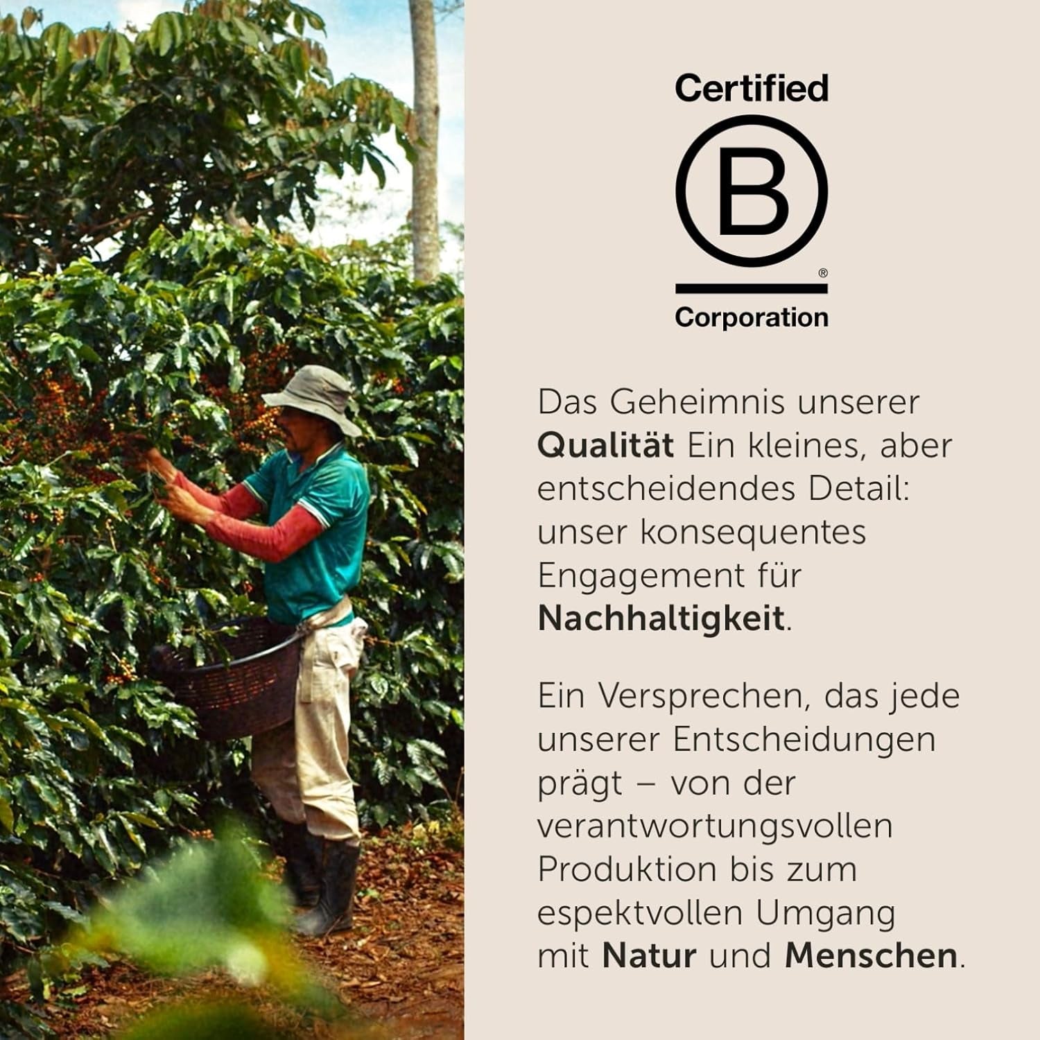 illy, Kaffeebohnen Arábica Selección Costa Rica, 100% Arábica con Caramelo, Schokoladen- und Vanillenoten, süßer Gesmack, 1 dosis con 250 g