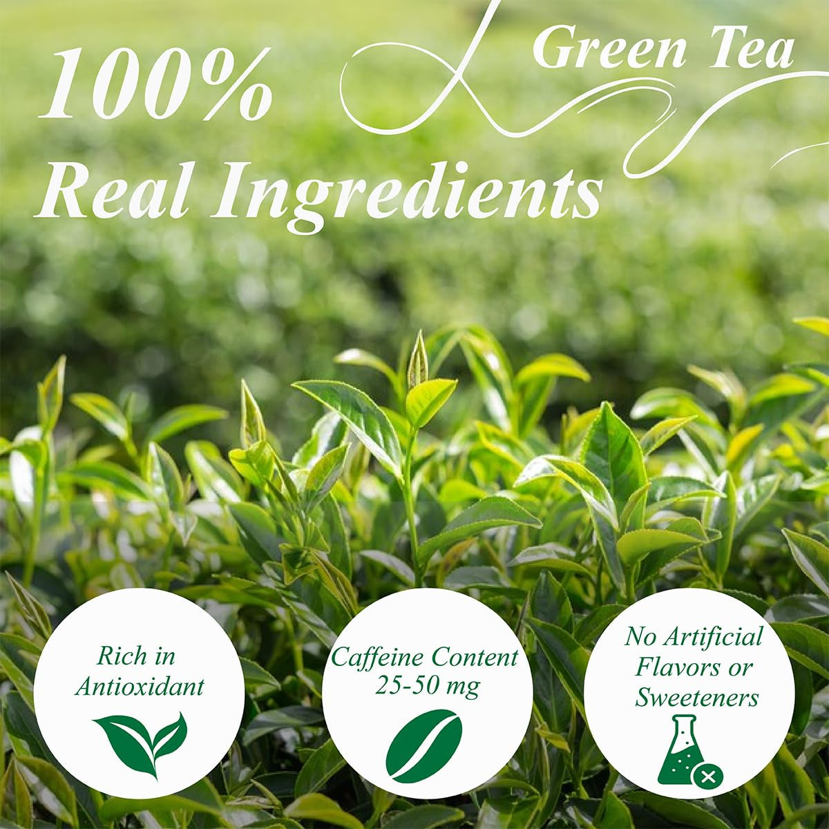 WEETEE Bolsitas de té verde, 100 piezas de bolsitas de té verde, té verde puro, súper antioxidante | Bolsitas resellables | Preparación fría o caliente