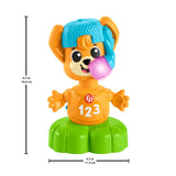 Fisher Price Animal Band Rino el Zorro Aprende los Opuestos, Zorro Interactivo para Aprender a Través del Movimiento, Luces, Canciones y Sonidos de Colores, Juguete para Bebé, 9+ Meses, HYL02 Baby Toys Naty Shop