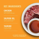 Lily's Kitchen Alimento natural húmedo y tierno para gatos adultos, bandejas, recetas sin cereales, surtido (32 bandejas x 85 g)