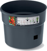 Macetas para plántulas de tomate Prosperplast con enrejado - Jardinera de plástico resistente | Antracita | Resistente a la intemperie y a los rayos UV | 29,5 x 115,2 cm | Ideal para el jardín y la terraza.