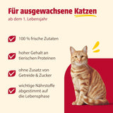 animonda Carny Adult Savory Variety (12 x 400 g), comida húmeda para gatos adultos, comida húmeda con ingredientes 100% cárnicos frescos, sin cereales y sin azúcar