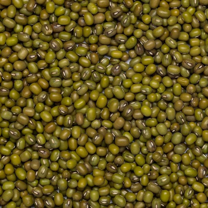 Wholefood Earth Frijoles Mungo Orgánicos 2kg | Sin OGM | Vegano | Rico en fibra | Rico en proteínas | Certificado orgánico