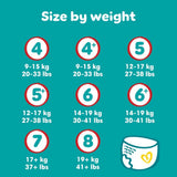 Pañales Pampers Baby-Dry, talla 8, 22 unidades, 19 kg+