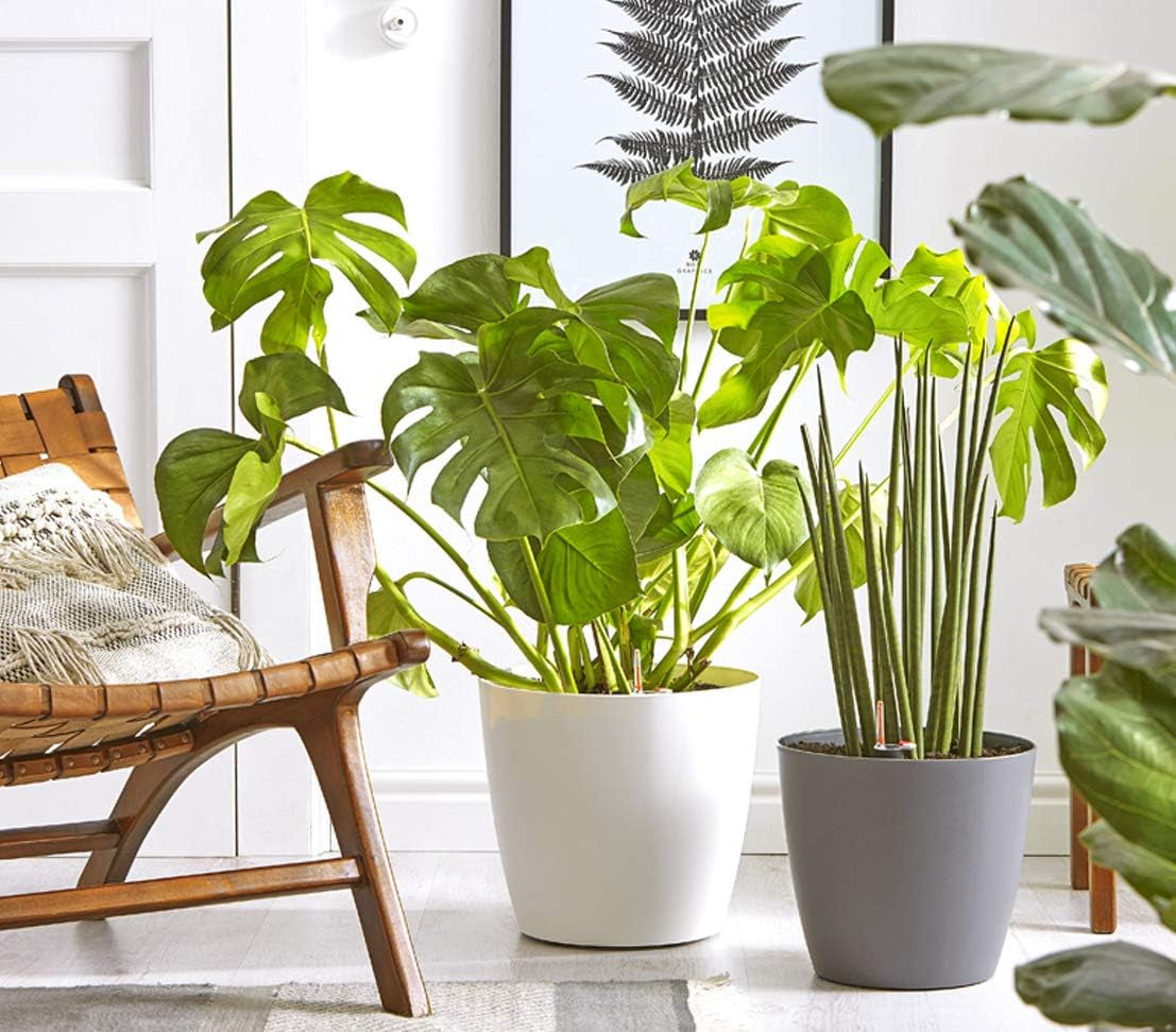 Maceta Dehner Mila con sistema de riego automático, Ø 30 cm, altura 26 cm, plástico, blanco