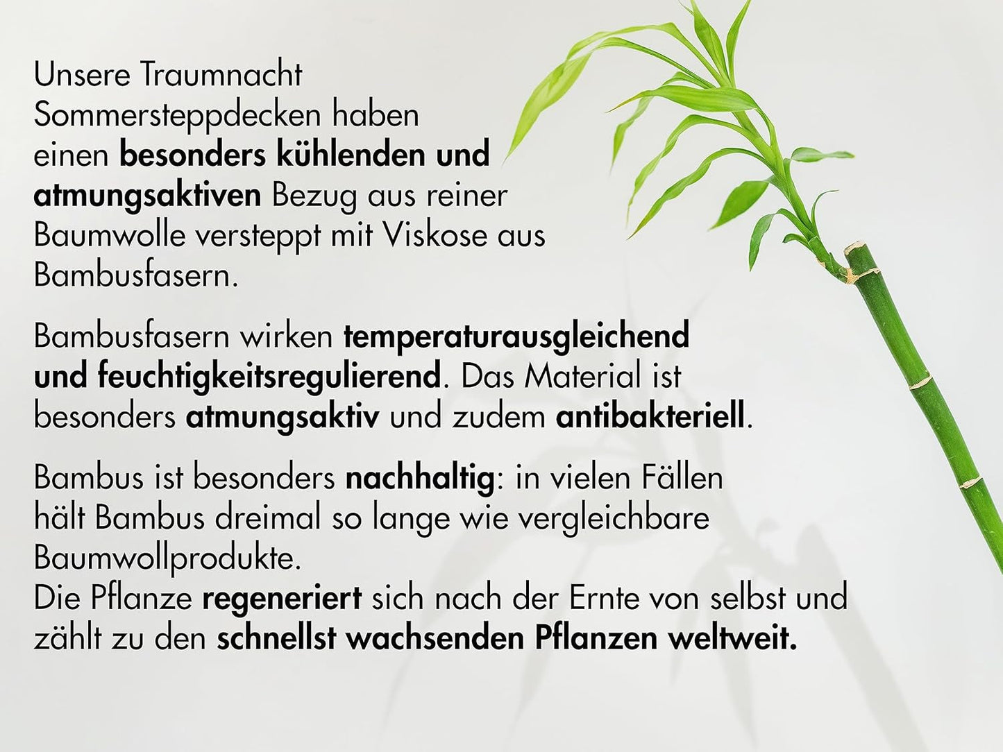 Traumnacht Almohada de bambú con fibras de bambú, hipoalergénica, antibacteriana Juego de almohadas con cremallera, compuesto por 2 almohadas de 40X80Cm, certificado Oeko-Tex, desarrollado en Alemania Naty Shop almohadas estándar