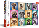 Puzzle - "1000" - Retratos divertidos de perros Puzzle Naty Shop Retratos divertidos de perros