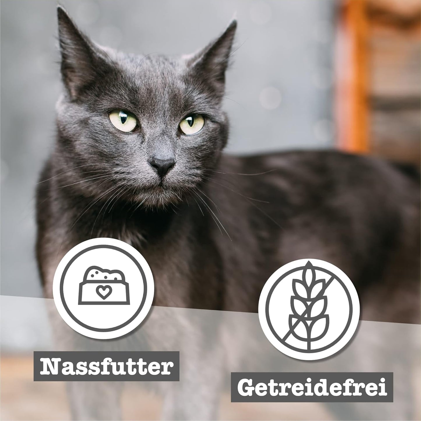 catz finefood Senior Collection Katzenfutter nass - Premium Nassfutter für Ihre Senior Katze - getreidefrei, ohne Zucker, hoher Fleischanteil, Vitamine & Mineralien (6 dosis de 200 g)