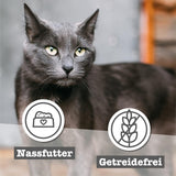 catz finefood Senior Collection Katzenfutter nass - Premium Nassfutter für Ihre Senior Katze - getreidefrei, ohne Zucker, hoher Fleischanteil, Vitamine & Mineralien (6 dosis de 200 g)