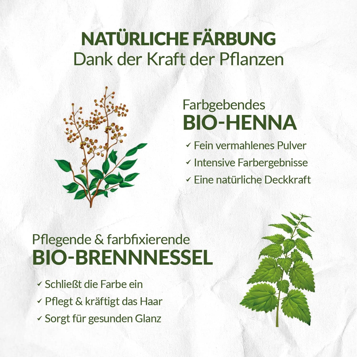 LOGONA Natural Cosmetics Tinte capilar nutritivo a base de hierbas, Henna orgánica en polvo, tinte vegano para un color y brillo intensos, tinte capilar a base de hierbas en rubio cobrizo (rubio), 1 x 100 g Naty Shop Tinte para el cabello