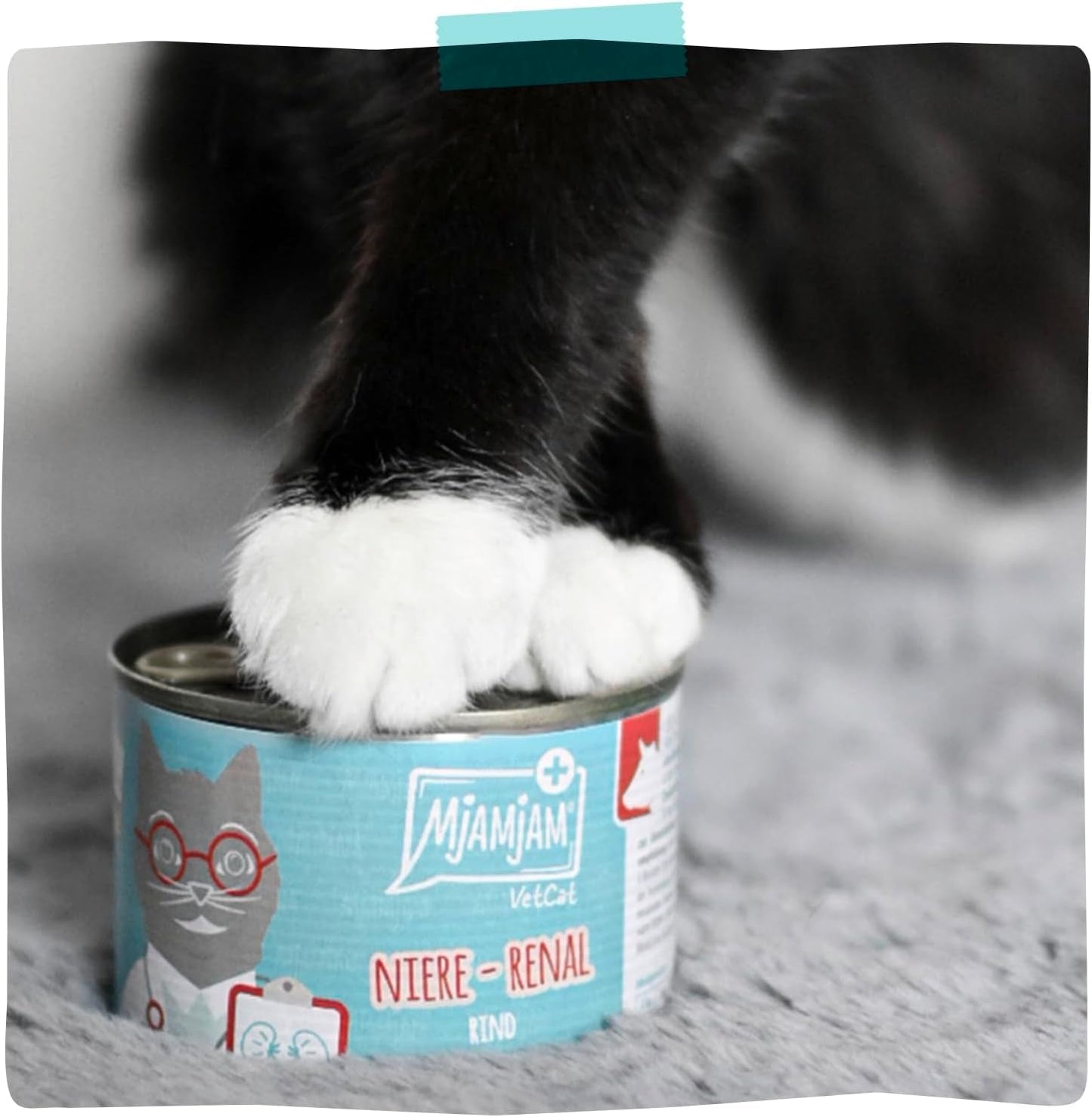 MjAMjAM VetCat - Comida húmeda premium para gatos - Dietético - Riñón - Pollo, paquete de 6 (6 x 200 g), sin cereales